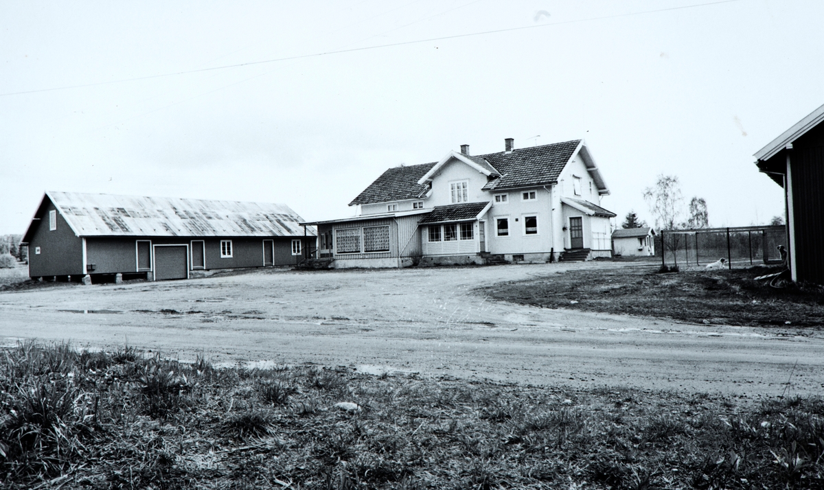 Ole Elvsruds landhandel, Vang H.