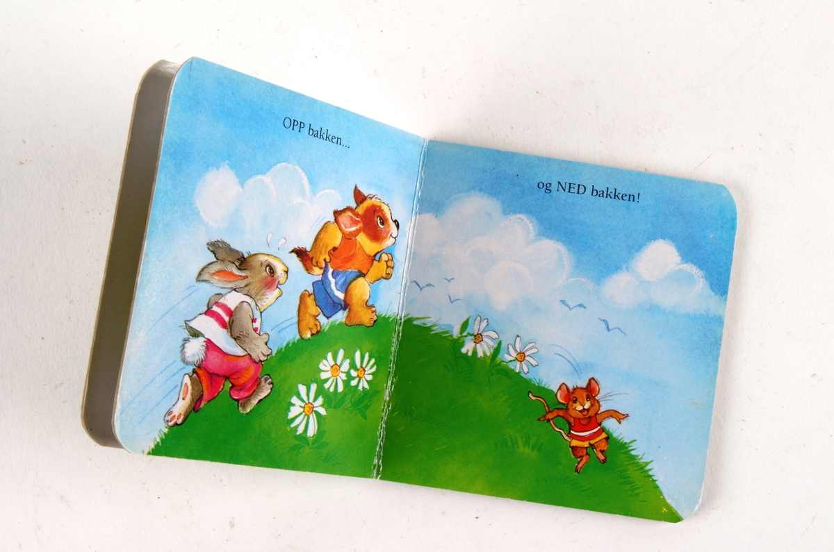 Illustrert barnebok i farger.