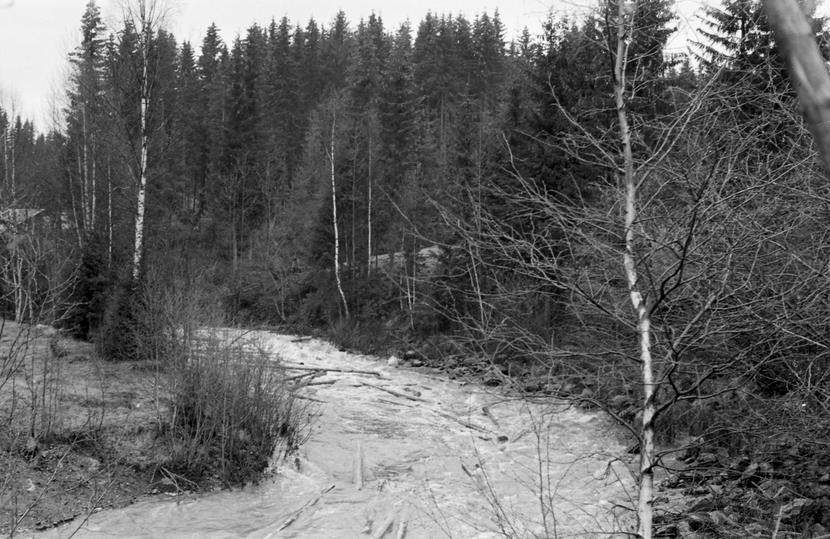 Tømmerfløting I Løsetåa I Nord Odal I Hedmark I Midten Av Mai 1955 Bildet Er Tatt Fra En 