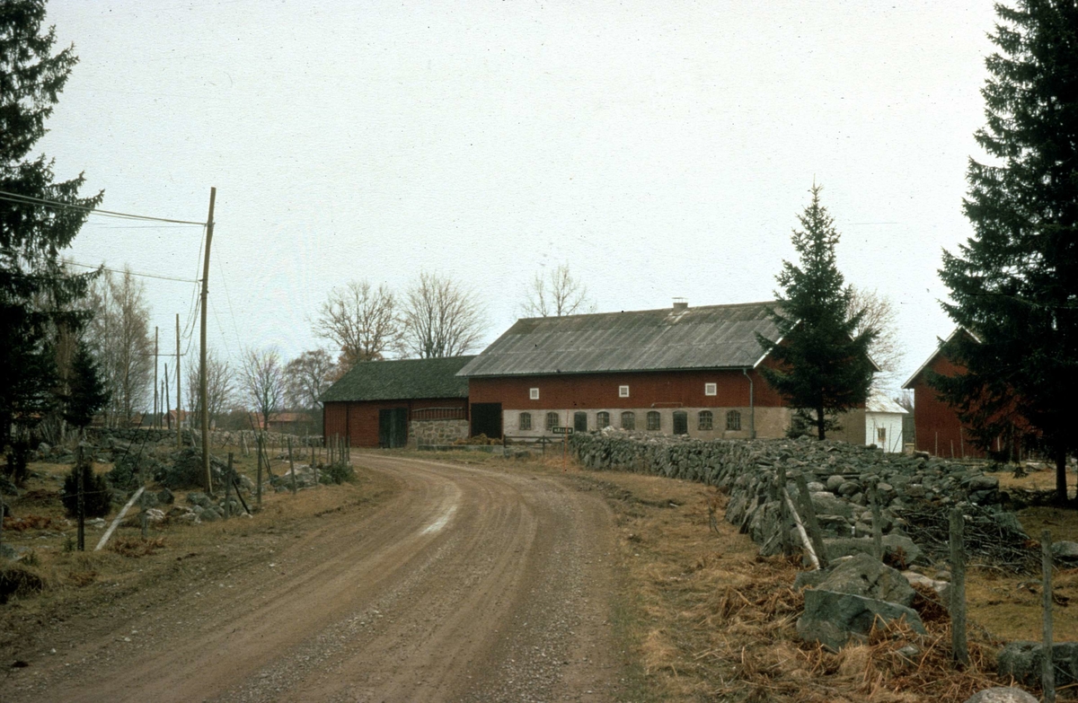 Ladugård, Hållen, Hållnäs socken, Uppland 1973