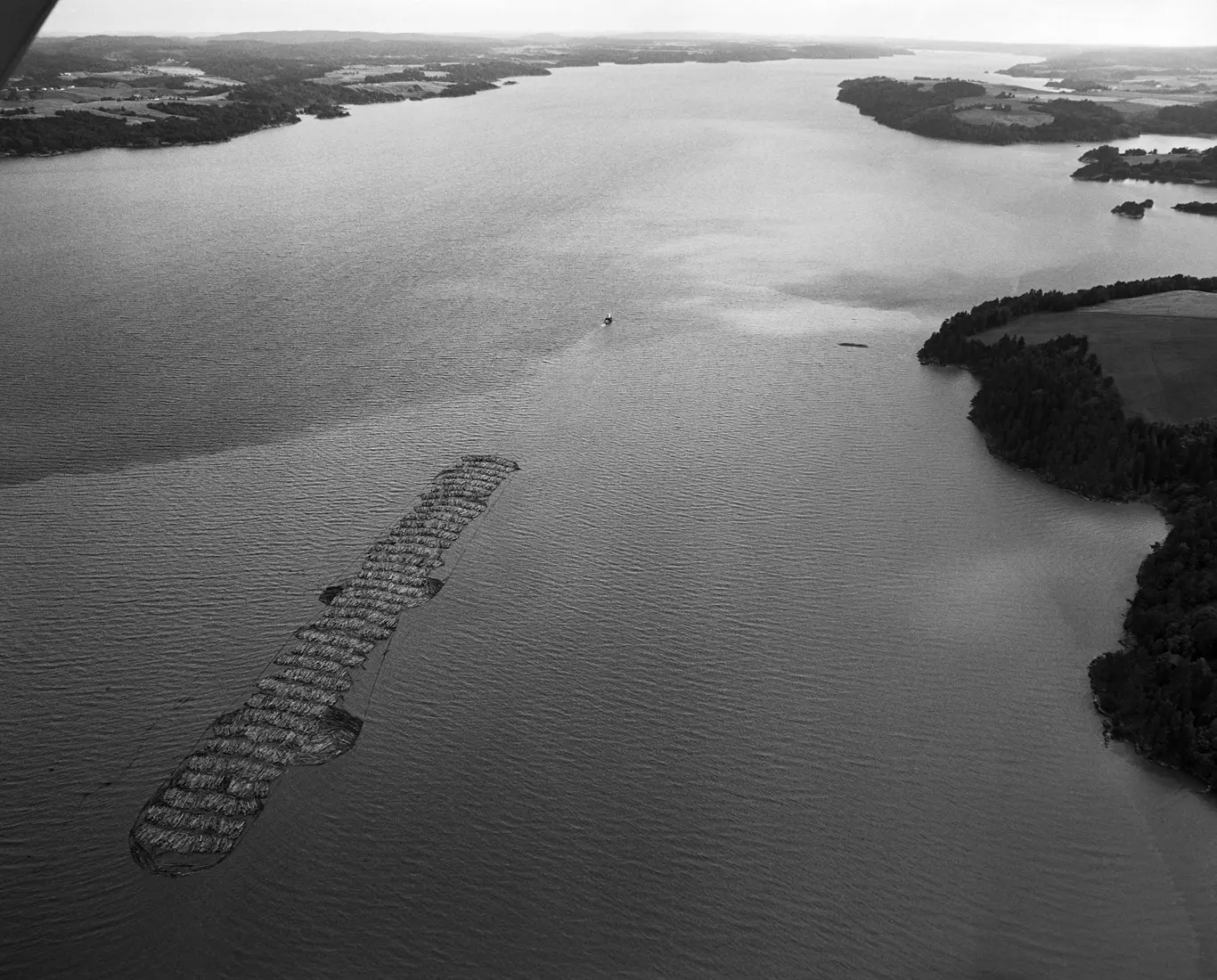 Foto: O. T. Ljøstad/Anno Norsk Skogmuseum