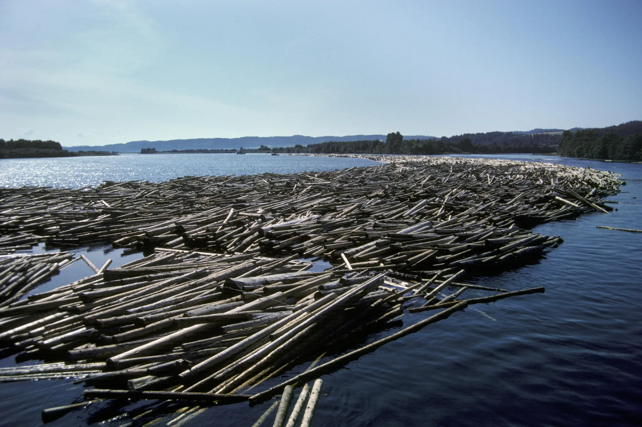 Foto: O. T. Ljøstad/Anno Norsk Skogmuseum