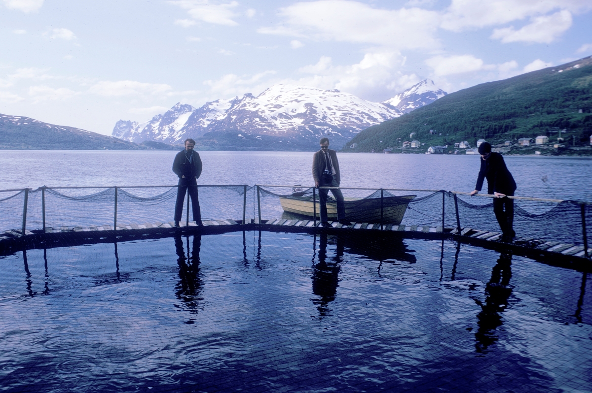 Tre menn står på en merde og en båt ligger fortøyd bak dem. Helt til venstre står Einar Brun fra universitetet i Tromsø. Noe bebyggelse i bakgrunnen.