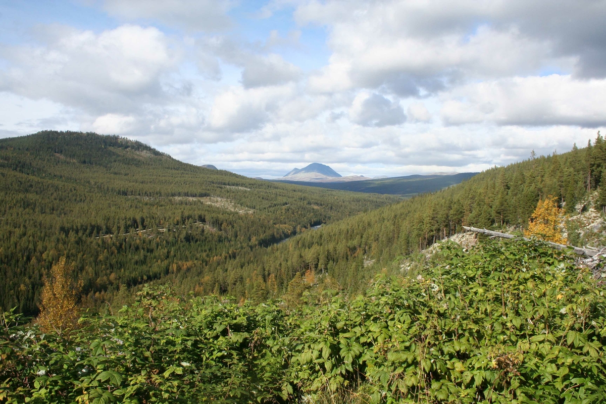 utsikt, mot Alvdalssøln, Atndalen, Stor-Elvdal