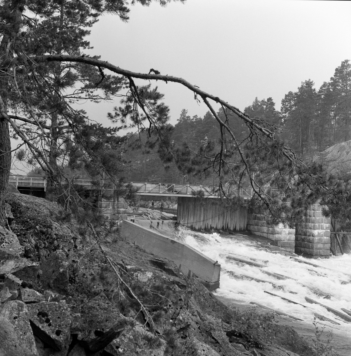 Tømmer ledes gjennom nåledammen. Nisserdammen i Arendalsvassdraget. Nisser dam ved utløpet av innsjøen Nisser i Telemark.