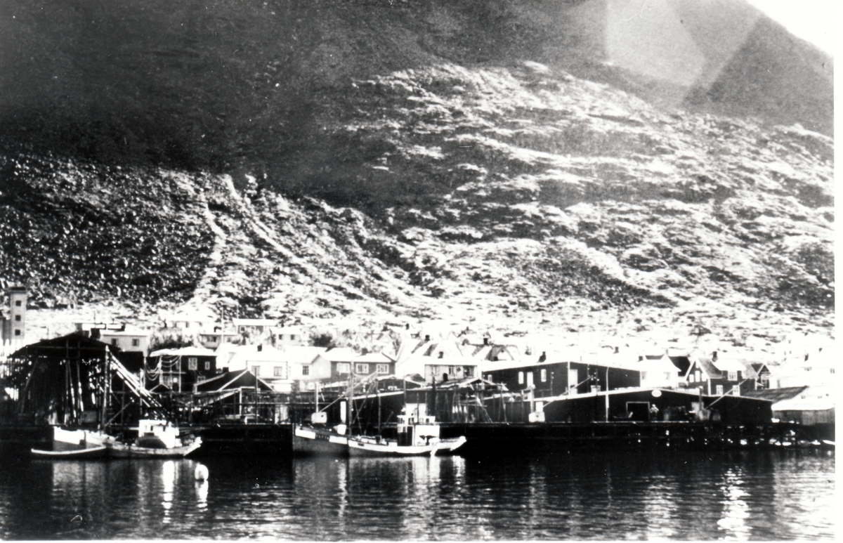 Gryllefjord. Peder Pettersens fiskebruk sett fra havet. Båtene som ligger ved kai er fra venstre "Rolfen", "Vally" og "Grimsbakk". Den ytterste ukjent.
