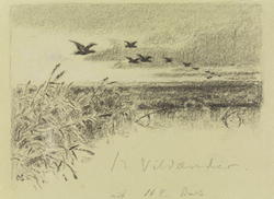 De tolv villender [Tegning]