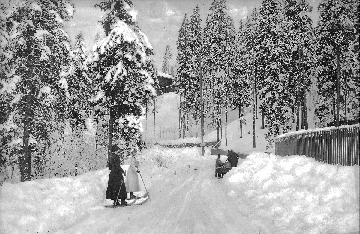 To kvinner på ski, skog, hest med slede i bakgrunnen, vinter