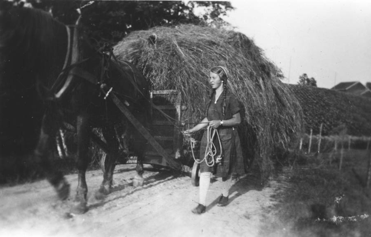 Sigfrid Ruud med høylass og hest.