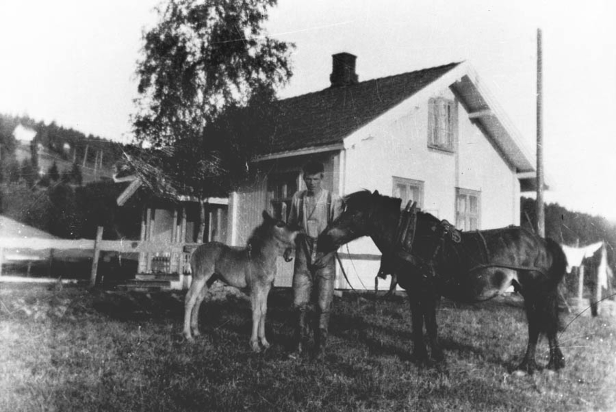 Johan Hvalstrand og Mørejarlen og et føll foran gamlehuset på Sørby.