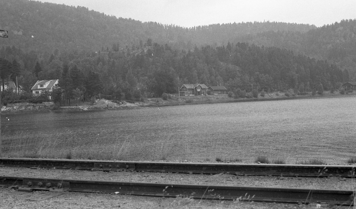 Setesdalsbanen syd for Hægeland stasjon. "Mandalsporet", et sidespor fra Hægeland, sees i forgrunnen.