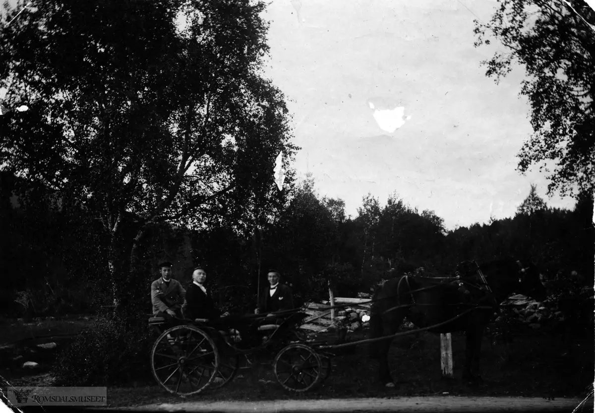 Mathias Årø sin hoppe. 16-sept.1897