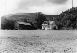 .(Bilder brukt i "Gards- og ættesoge for Nesset").