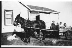 Gruppe, tre gutar og ei jente. Luve, jakke,hund, mulldyr og 