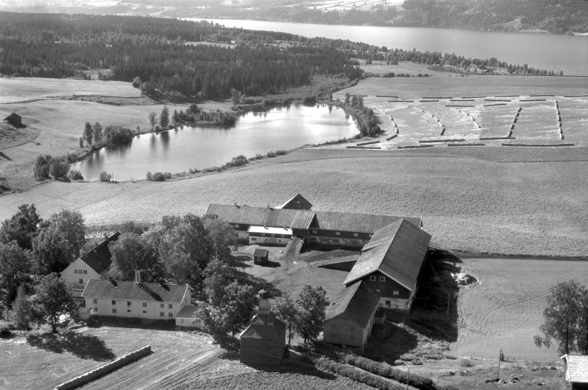 Flyfoto av Tjerne gard, Gaupen, Ringsaker.