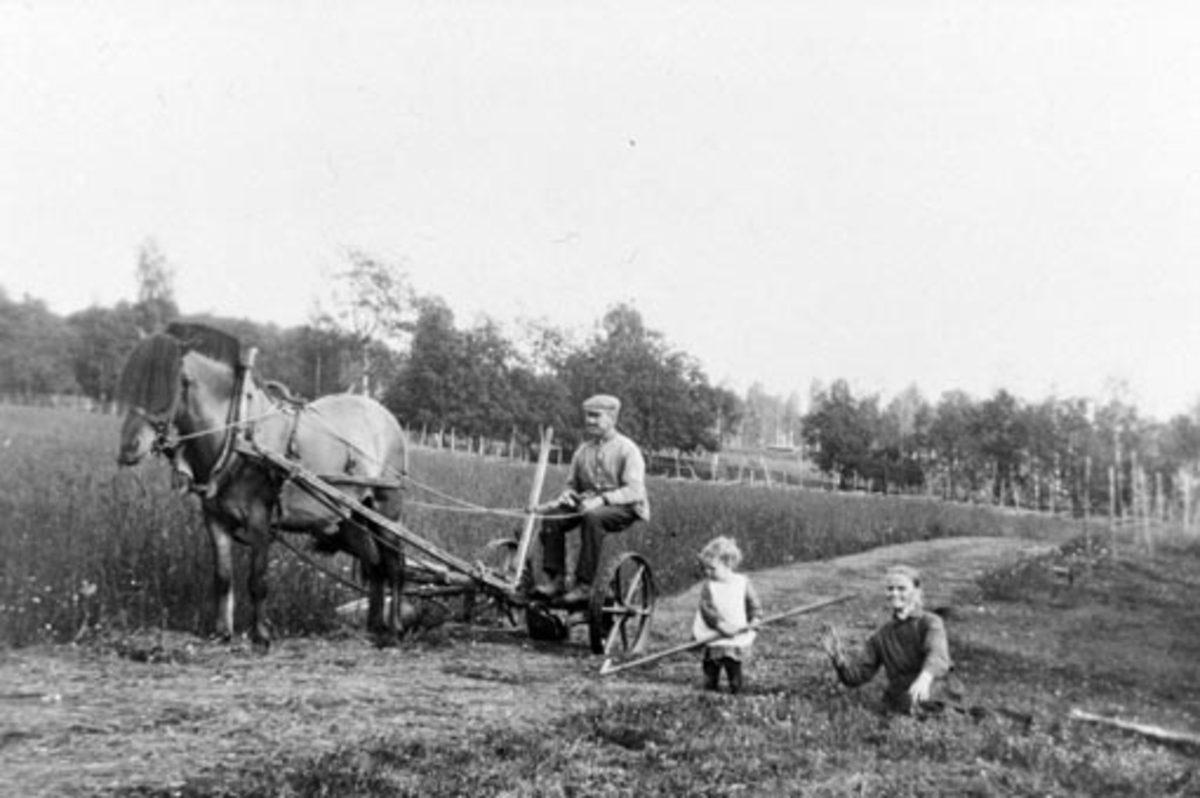 Slåttonn i Bakkom, Nes, Hedmark. Hest med slåmaskin. Nils Sørbo (1888-1970) på slåmaskin. Sigrid Ida f.1927 og bestemor Sigrid (1862-1938).