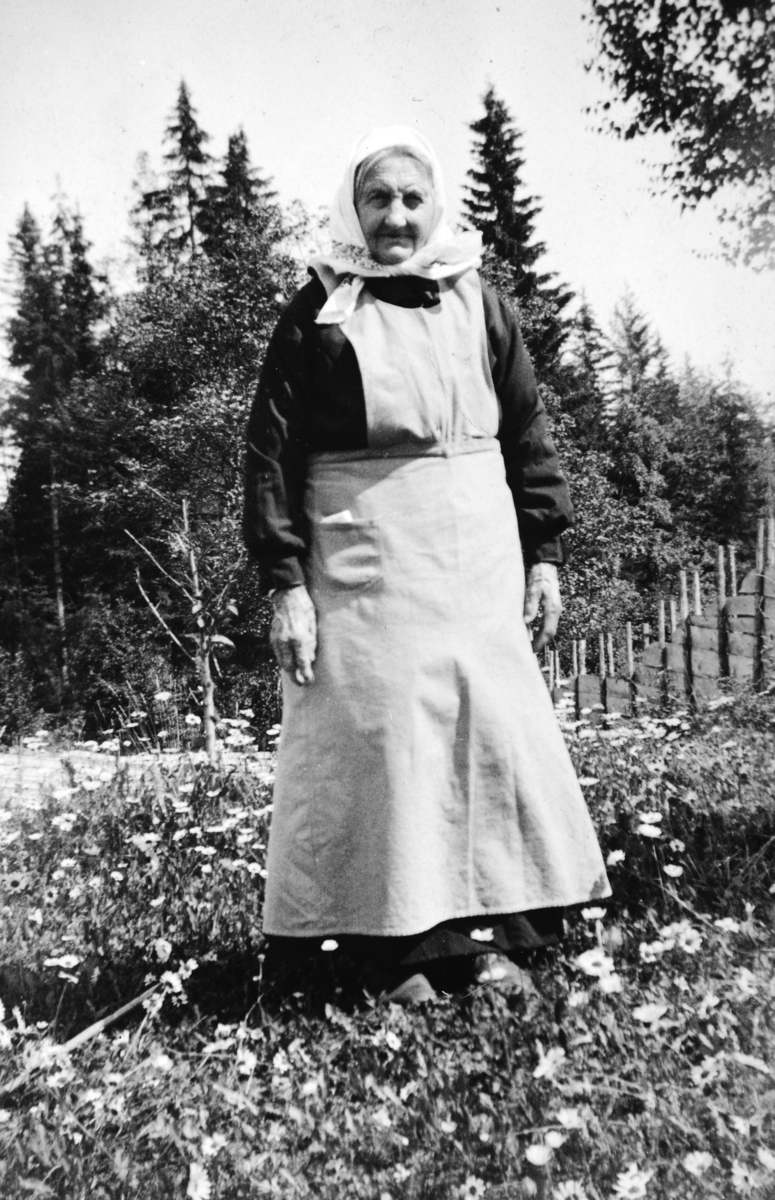 Lisabeth Nilsen gift med Jørgen (Jørn) Nilsen. Hun hadde vært husmannskjærring i Trolldalen av Tomter, Maurud av Nashaug. De bygde hus i Vesterengen av Slemsrud og bodde der de siste åra. Lisabet døde i 1938. 