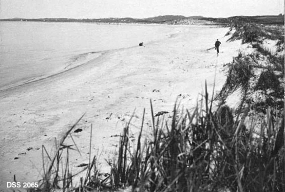 Landskapsbilde fra Solastranda.  Sjøen kommer inn fra venstre mot ei strand der det er skyllet opp sand i et 15-20 meter bredt, vegetasjonsfritt belte.  Herfra - utenfor bølgeslagssonen - vokser det en del sivplanter.  En mann går i det vegetasjonsfrie beltet. 