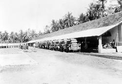 Mosambik 1914. Plantasjearbeidere laster sekker med kokosnøt