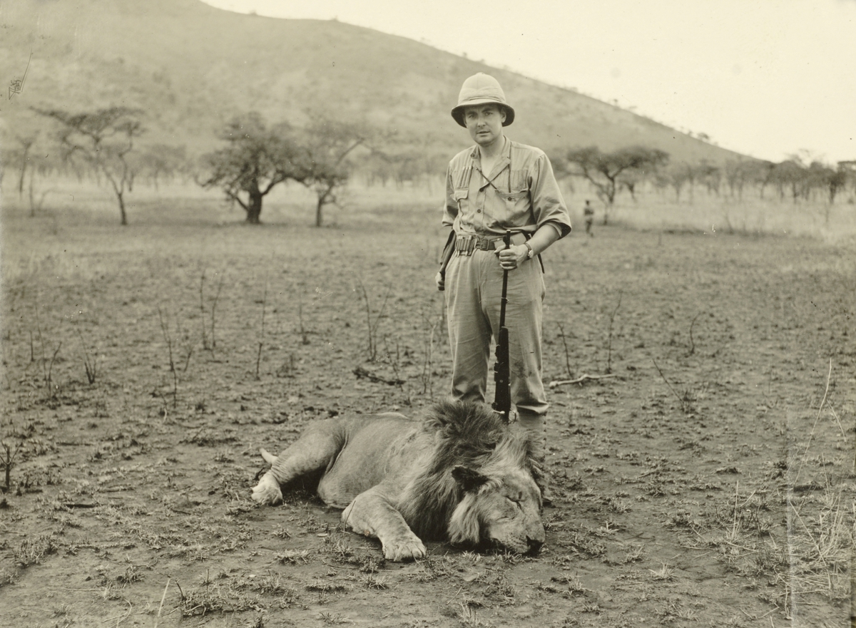 Marentius Thams med en skutt løve. Masai Mara, Kenya?