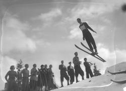 Familieskirenn på Brynseter. 
Familiene Smith, Jomar Larsen