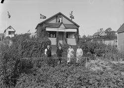 Kolonihagen på Lerkendal