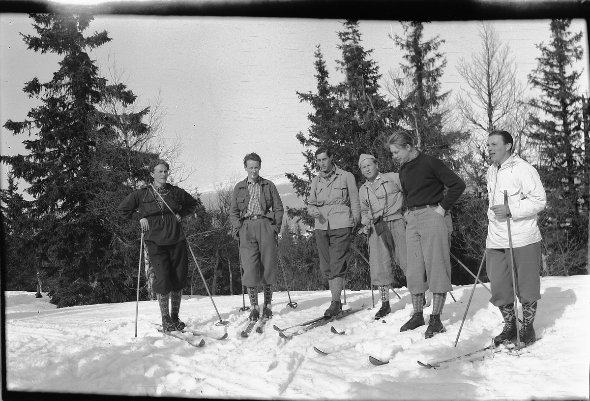 Ukjent gruppe skigåere i skogen. 