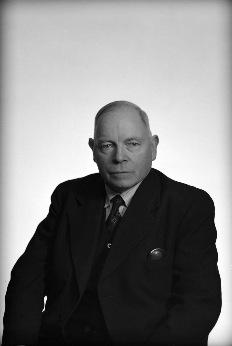 Karl K. Kleppe, Stortingsmann, portrett.