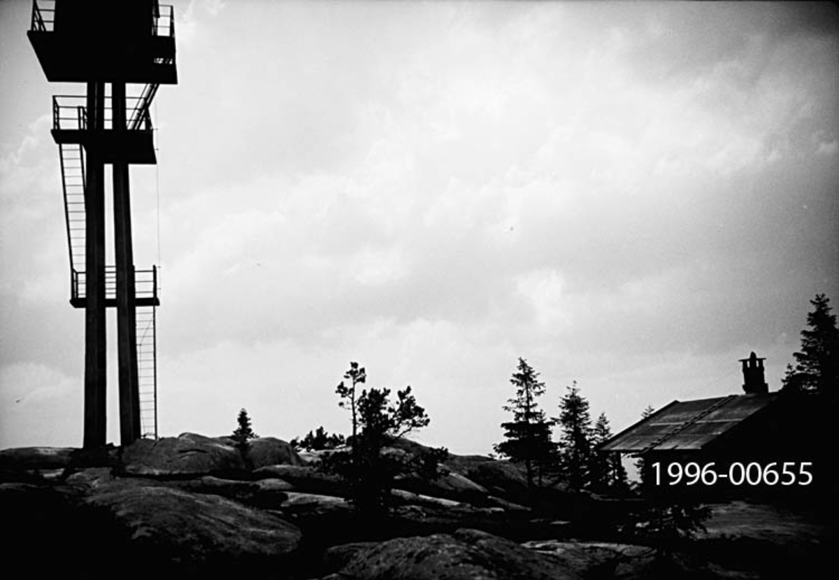Tårnet på Rafjell skogbrannvakstasjon, øst for innsjøen Nugguren i Brandval, Hedmark.  Tårnet ligger 585 meter over havet.  Det ble bygd 1934.  Året før hadde det vært tre skogbranner i Brandval, og verdier for 15 - 20 000 kroner med 1933-verdi hadde gått tapt.  Dette aktualiserte tanken om å bygge et brannvakttårn.  Ingeniør Martin Skaare Botner (1893-1983) og Brandval skogråd var pådrivere.  Da de fremmet saken for kommunestyret skrev de blant annet følgende:  «Det norske gjensidige Skogbrandforsikringsselskap har vist planen stor interesse ved å tilby stasjonen opført helt gratis – med telefon, karter, peileapparat o.s.v., men selskapet forlanger sikkerhet for at driften blir ordnet således at stasjonen virkelig holdes besatt i den brandfarlige tid.  A/S Borregaard har også stillet den nødvendige tomt til disposisjon for stasjonen.»  På et såpass værhardt sted var man redde for at et tretårn ville forfalle raskt, så Brandval fikk et av de første skogbrannvakttårnene som i hovedsak var utført i armert betong.  Firmaet AS Betonmast stilte med en arbeidsleder som fikk reist forskalingene og blandet betongen sammen med lokale arbeidere.  Størstedelen av tårnet med betongpilarer og trapper ses til venstre på bildet.  Det var bemannet i tørkeperioder sommerstid og inngikk i den regionale brannberedskapen i regionen fram til og med 1977-sesongen.  Kommunene Brandval, Vinger og Grue bidro til å finansiere dette tilsynet, som i midten av 1930-åra ble kalkulert til cirka 500 kroner sesongen.  I 1935 ble det laftet ei tømmerhytte like ved tårnet, som overnattingssted for brannvaktene, jfr. saltaket som skimtes til høyre på dette bildet.  I slutten av 1930-åra fattet Luftvernregimentet interesse for tårnet på Rafjellet, og en viss militær bruk ble videreført i regi av Luftkommando Østlandet etter 2. verdenskrig.  Da hytta ble modernisert i 1959-1960 ble det derfor til at de militære aktørende og forsikringsselskapet Skogbrand delte kostandene. 

Fra og med 1978 overtok småflyentusiaster skogbranntilsynet.  Vakthytta ble ødelagt ved en brann i 1982.  Femten år seinere fikk Hokåsen utmarkslag laftet ei ny hytte med tanke på friluftsfolk som har Rafjellet som turmål.  Etter at skogbrannvaktholdet fra Rafjellet oppførte fikk tårnet i 1980 en ny funksjon som «mast» for politiets, tollvesenets og Røde Kors’ radiokommunikasjon.  Mange innså at brannvakttårnet var et interessant kulturminne, men det var uklart hvem som hadde vedlikeholdsansvar.  Tidlig på 2000-tallet anslo et ingeniørfirma at tårnet hadde et oppussingsbehov som ble kalkulert til 230 000 kroner.  Tiltak ble iverksatt med midler fra flere instanser, men med Kongsvinger kommune som hovedbidragsyter.