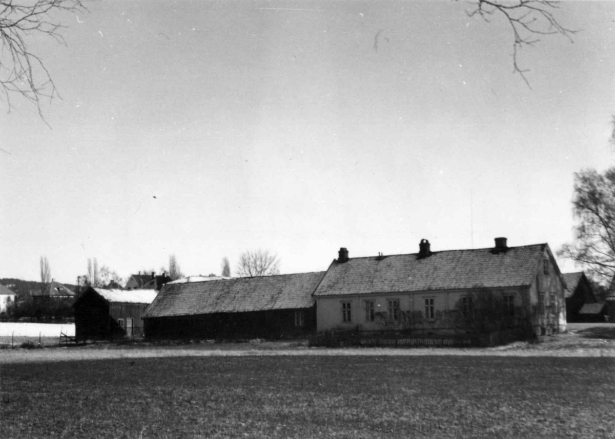 Blindern gård, Oslo 1953. Drengestua. Dr. Engelstads storgårdsundersøkelser.
