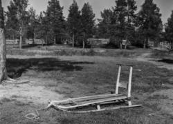 Slede. Feodorofs gård 1959.