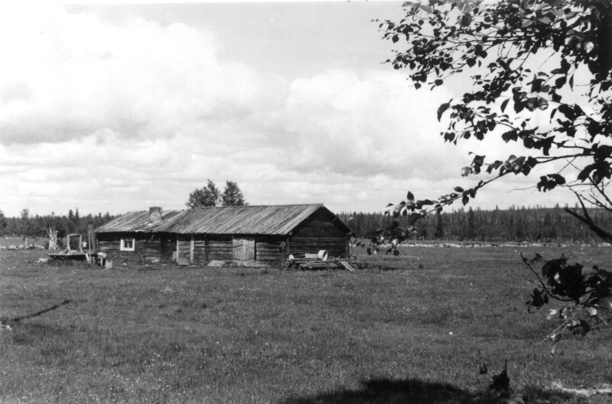 Fjøsbygning med tretak på Mottis Ladugård i Parkalompolo i Sverige i 1958.