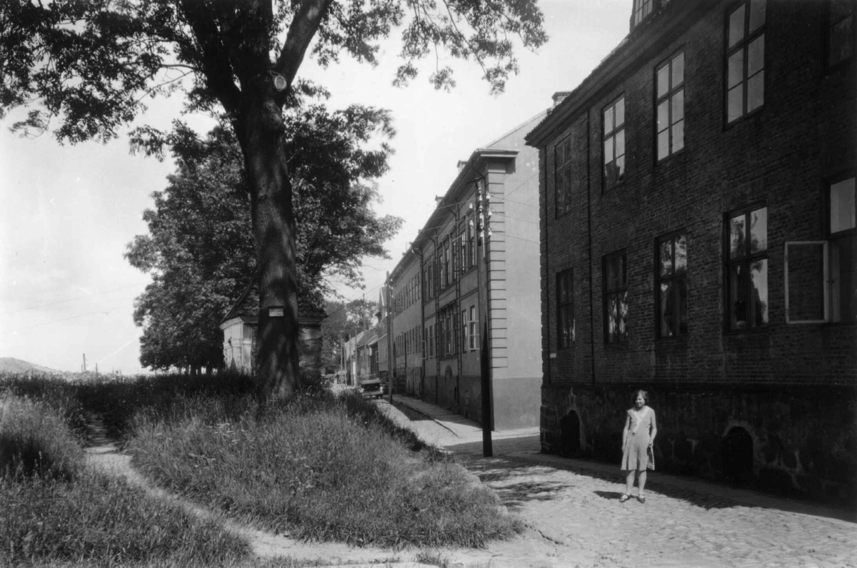 Gamlebyen i Fredrikstad. Grøntareale i forgrunnen med gate og husrekke. Kvinne foran et av husene. Biler i bakgrunnen.