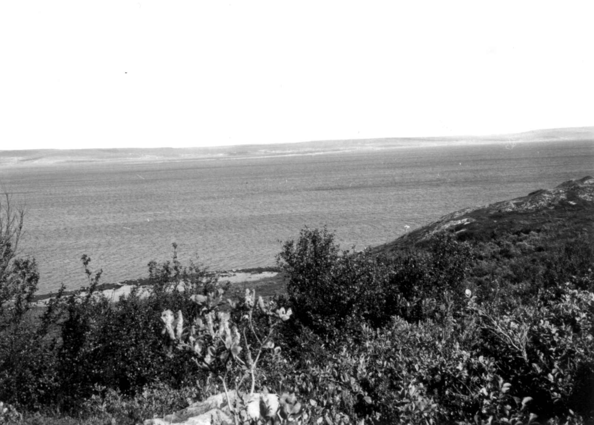 Oversiktsbilde over Varangerfjord sett fra sørsiden, i bakgrunnen Nesseby, 1968.