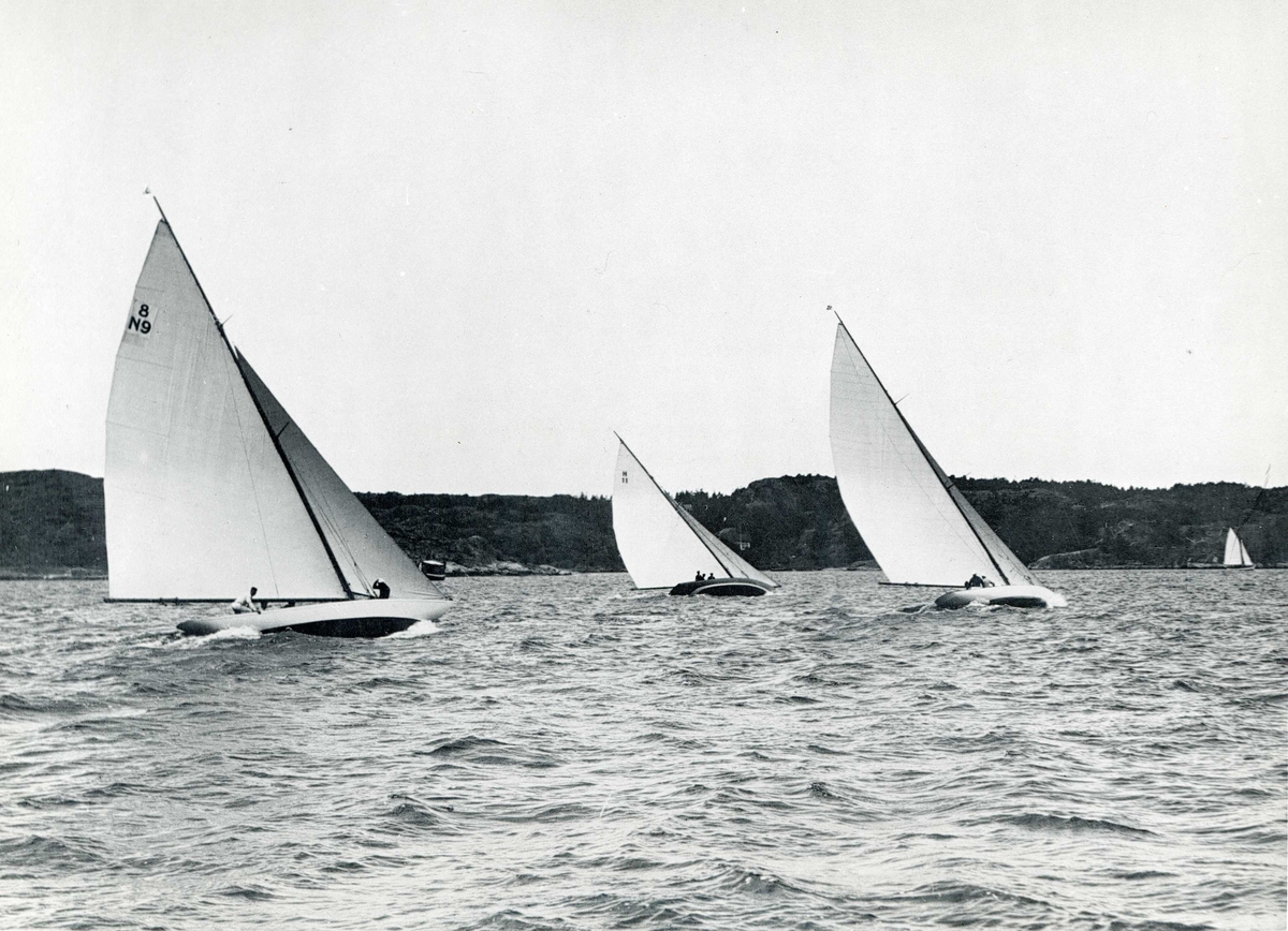 Seilregatta på Hankø. Tre seilbåter i full fart over fjorden. En seilbåt nærmere land.