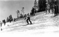 Slalåmrenn, Tryvannsåsen, Oslo 1934. En skiløper i fart ned 
