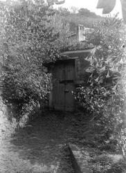 Fra Madeira (ant.), inngang til uthus (?) i naturomgivelser.