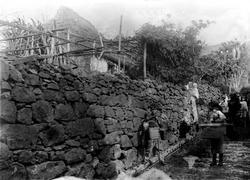 Fra Madeira (ant.), barn som bærer ulike kurvtyper, ved stei