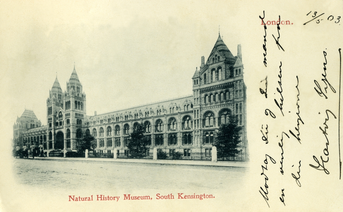 Postkort. Hilsen. Fotografisk motiv. Svart/hvitt. Fra London:  Natural History Musum, South Kensington.  Stemplet 16.05.1903.