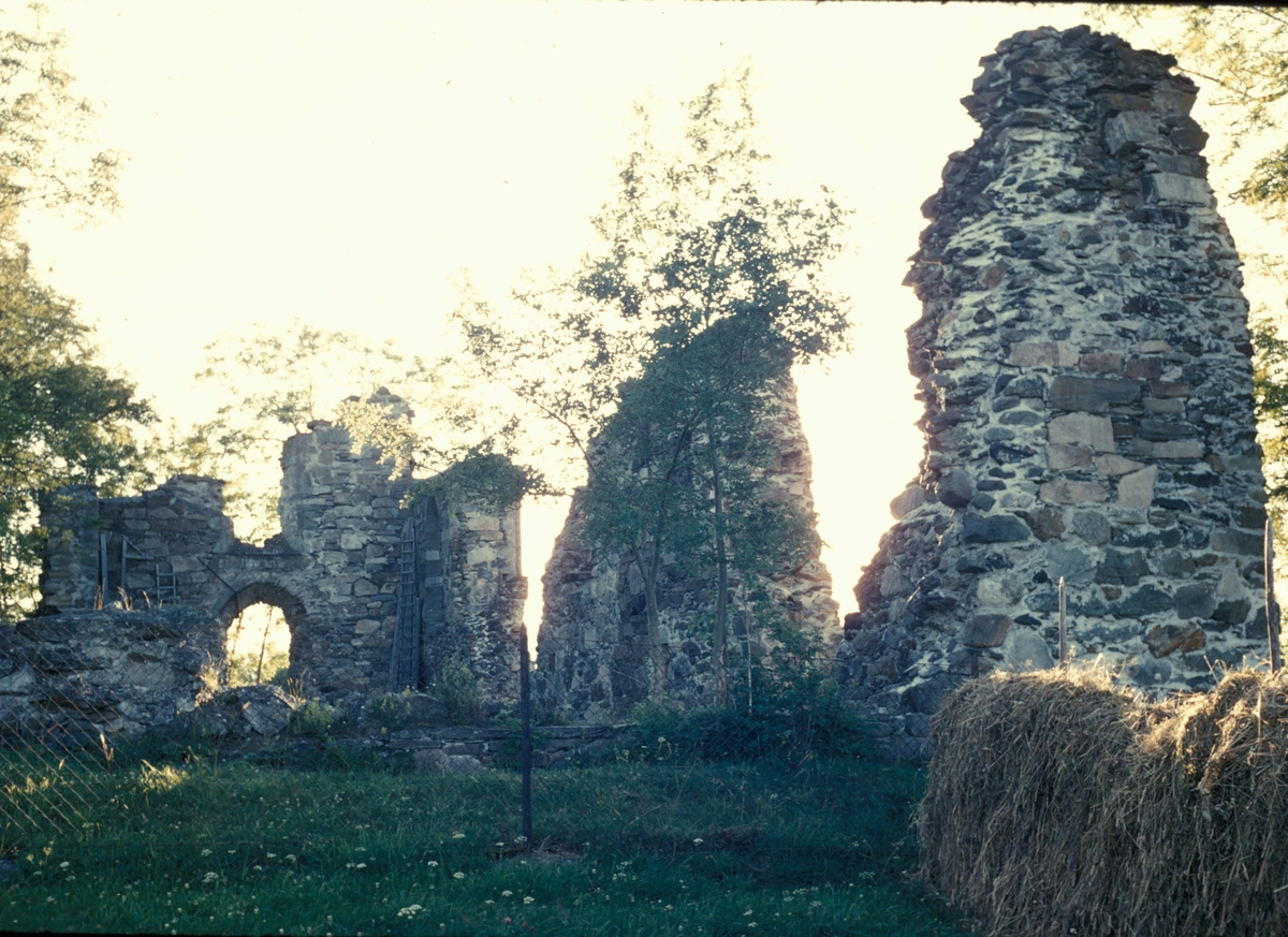 Ruiner - Tautra kloster i Nord-Trøndelag