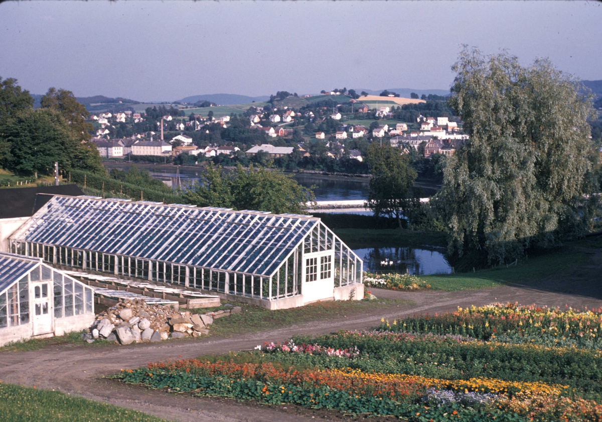 Drivhus - Staup Hagebruksskole ved Levanger.