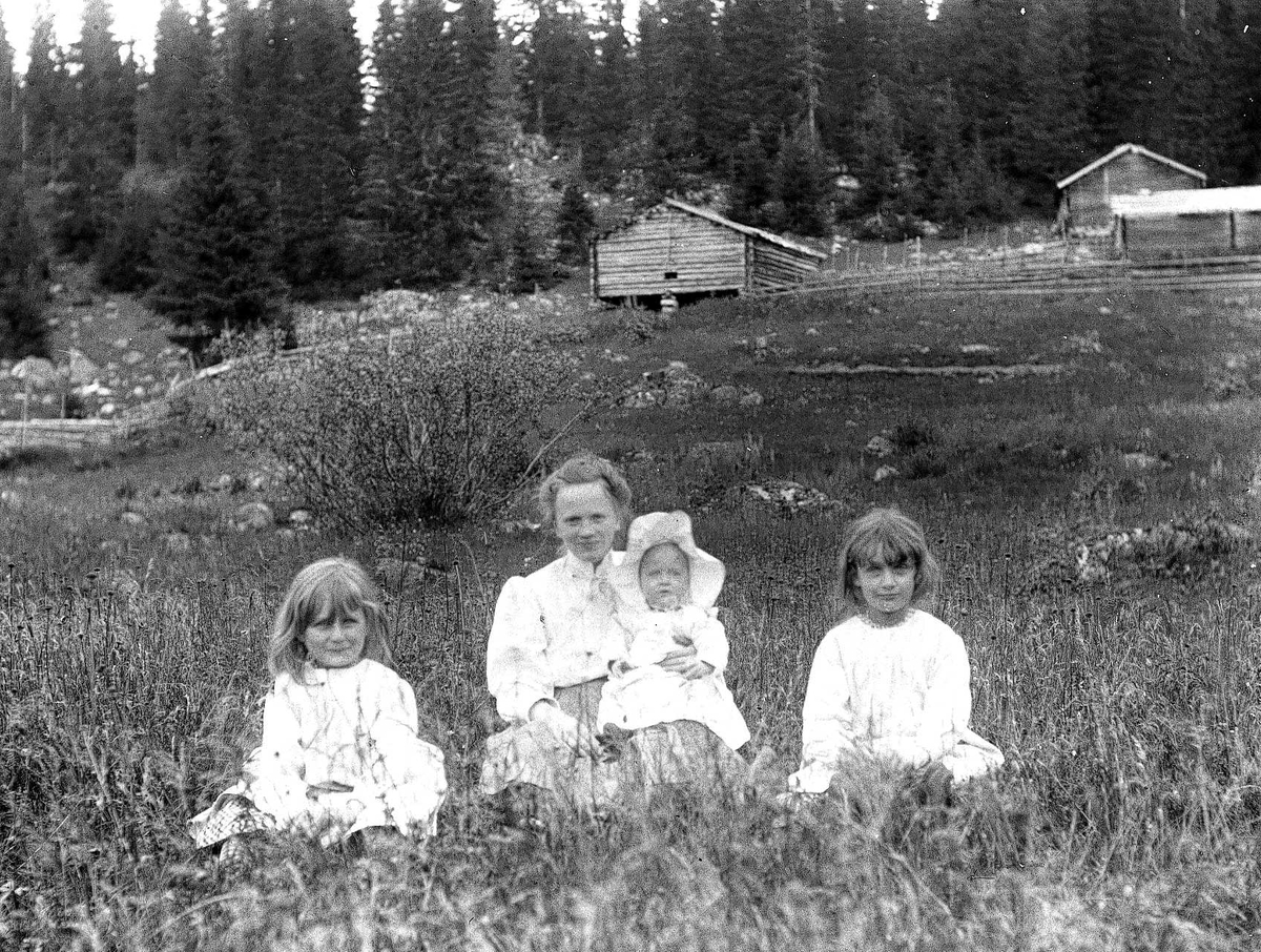 Familiemedlemmer på Holoa seter, Hadeland, Jevnaker, Oppland.  Margrethe Q. Wiborg med barn. 
