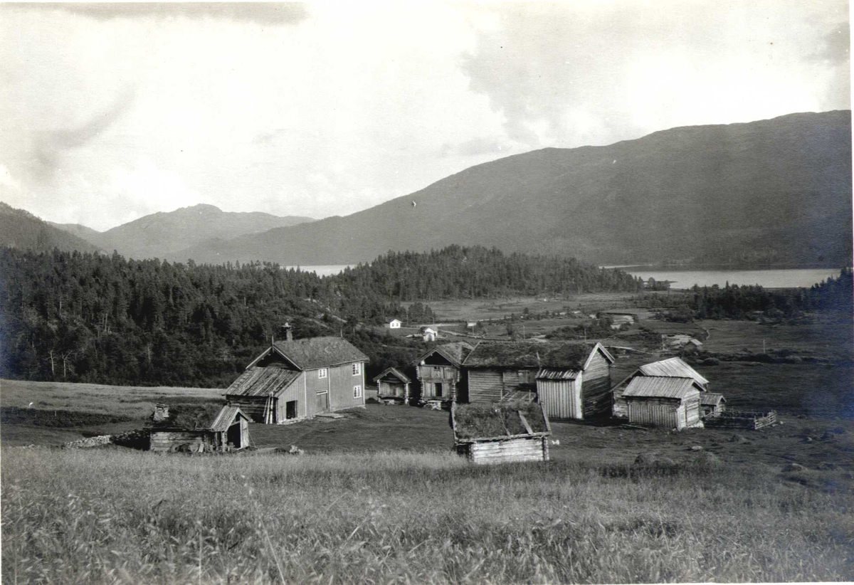 Gårdstun, Mo, Rauland, Vinje, Telemark. Fotografert 1917.

