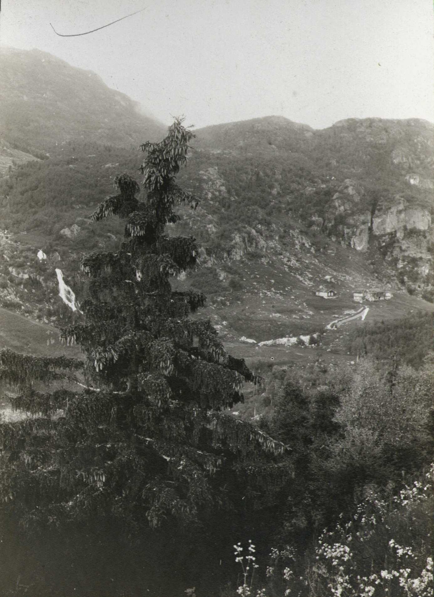 Utsikt fra Rinde i Åmotsdal i Seljord i Telemark. Fotografert i 1913.