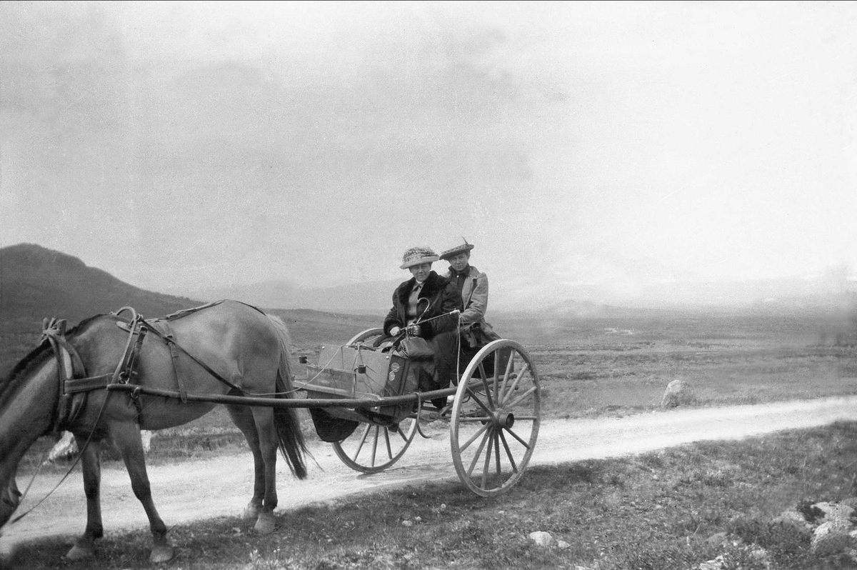 To kvinner sitter på en hestekjerre med bagasje bak en fjording. Robsahm og Lund.