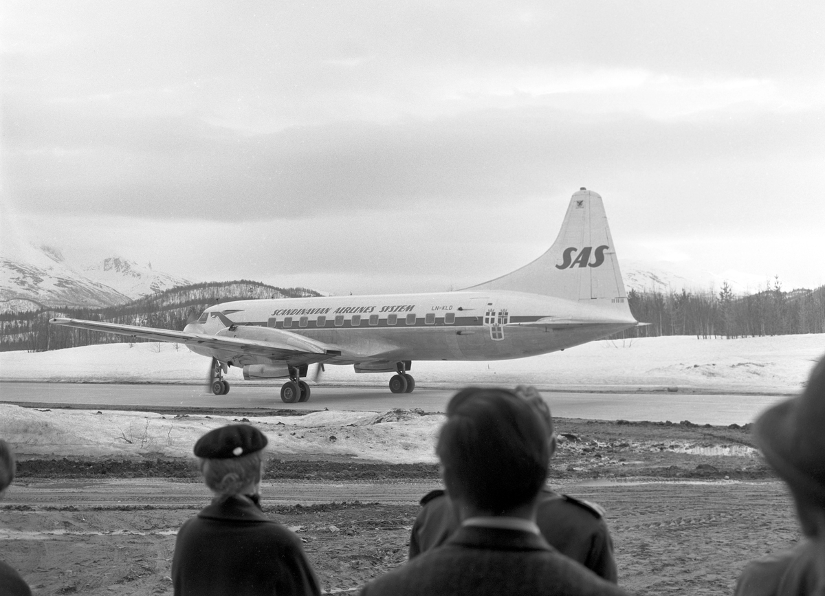 Serie. Et SAS fly står på bakken på Bodø flyplass, mange flydestinasjoner står på et skilt ved Bodø flyplass og en skjære bygger reir på en telefonstolpe. Fotografert april 1963.