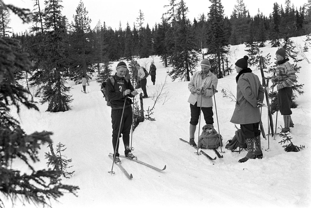 Deltaker med startnummer 3 tar en pause i sporet. Publikum langs løypa.  Birkebeinerrennet fra Rena til Lillehammer 1963.