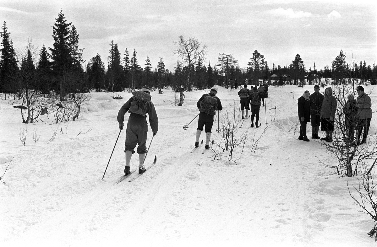 Deltakere i sporet. Publikum langs løypa. Birkebeinerrennet fra Rena til Lillehammer 1963.
