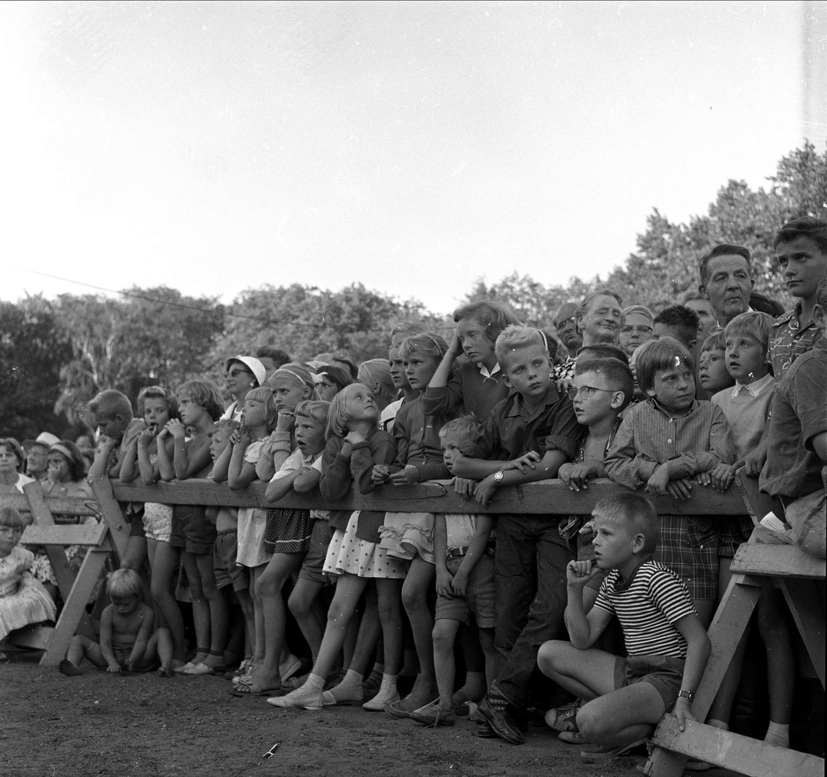 Parkkveld på St. Hanshaugen, Oslo 11.08.1959.