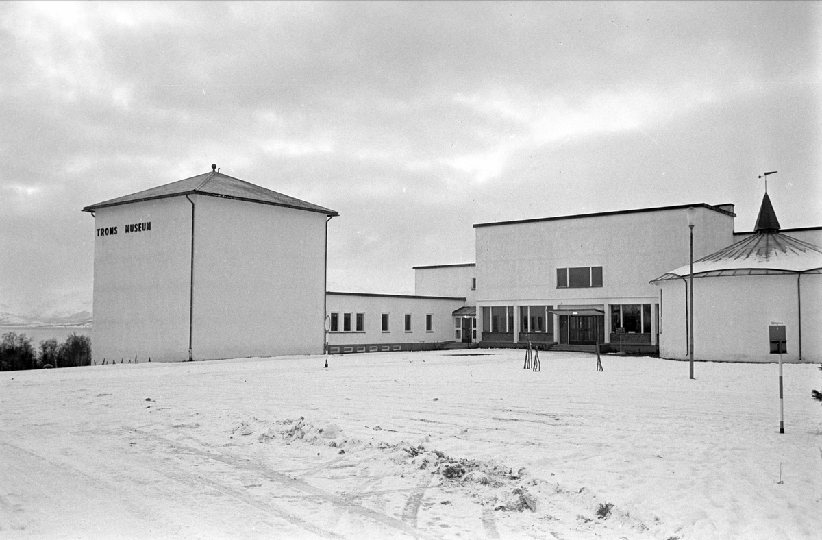 Tromsø museum - universitetsmuseet, november 1965.